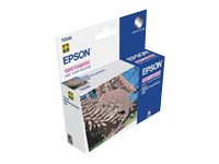   EPSON C13T034640