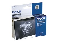   EPSON C13T054840