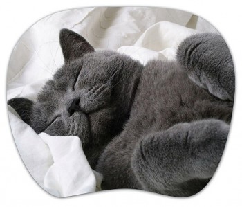    PC PET MP-TOM TURBO Grey cat