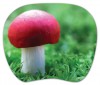    PC PET MP-TOM TURBO Mushroom